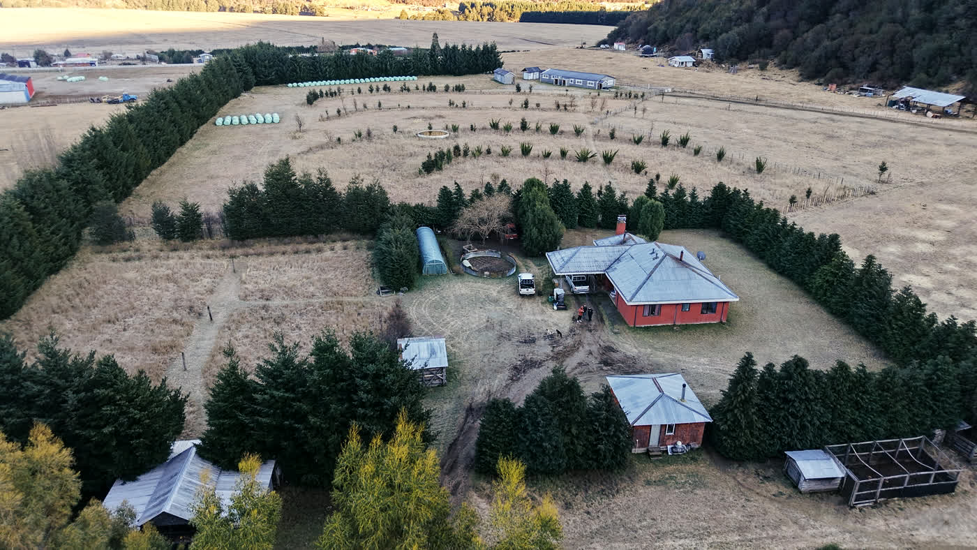 Vista aérea de la casa del Fundo La Pampita con el invernadero y las cortinas cortaviento al atardecer, Manihuales, Aysén